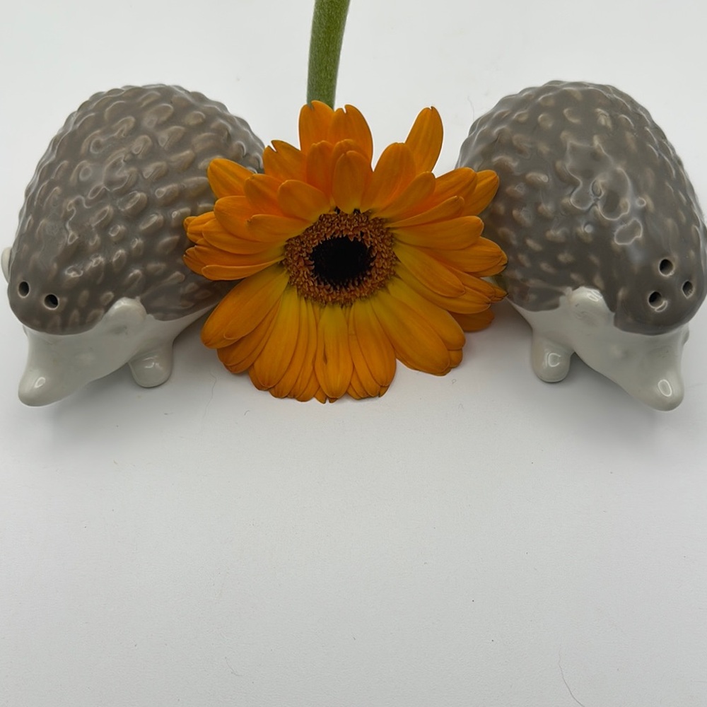 Gray Ceramic Hedgehog Salt and Pepper Shakers - Picture 6 of 6